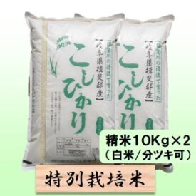 【ふるさと納税】【令和7年産】特別栽培米 20kg【白米、7分ツキ】（コシヒカリ）　お届け：2025年10月上旬～2026年8月下旬まで