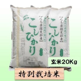 【ふるさと納税】【令和7年産】特別栽培米 20kg【玄米】（コシヒカリ）　お届け：2025年10月上旬～2026年8月下旬まで