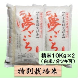 【ふるさと納税】【令和7年産】特別栽培米 20kg【白米、7分ツキ】（夢ごこち）　お届け：2025年10月上旬～2026年8月下旬まで