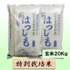 【ふるさと納税】【令和7年産】特別栽培米 20kg【玄米】（ハツシモ）　お届け：2025年11月上旬～2026年8月下旬まで