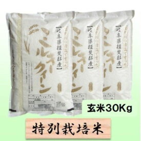 【ふるさと納税】【令和7年産】特別栽培米 30kg【玄米】（ミルキークイーン）　お届け：2025年10月上旬～2026年8月下旬まで