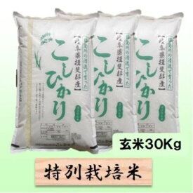 【ふるさと納税】【令和7年産】特別栽培米 30kg【玄米】（コシヒカリ）　お届け：2025年10月上旬～2026年8月下旬まで