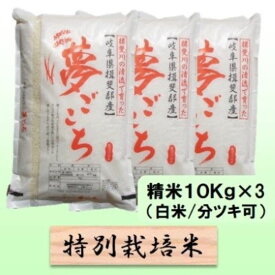 【ふるさと納税】【令和7年産】特別栽培米 30kg【白米、7分ツキ】（夢ごこち）　お届け：2025年10月上旬～2026年8月下旬まで