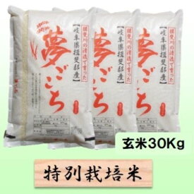 【ふるさと納税】【令和7年産】特別栽培米 30kg【玄米】（夢ごこち）　お届け：2025年10月上旬～2026年8月下旬まで