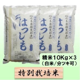 【ふるさと納税】【令和7年産】特別栽培米 30kg【白米、7分ツキ】（ハツシモ）　お届け：2025年11月上旬～2026年8月下旬まで