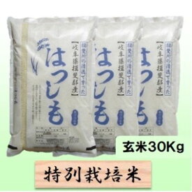 【ふるさと納税】【令和7年産】特別栽培米 30kg【玄米】（ハツシモ）　お届け：2025年11月上旬～2026年8月下旬まで
