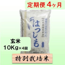 【ふるさと納税】特別栽培米★[定期便] 4カ月★毎月 玄米10kg【ハツシモ】 お米 ブランド米 銘柄米 ご飯 アッサリ 幻のお米 大粒　お届け：2025年11月中旬～2026年10月下旬まで