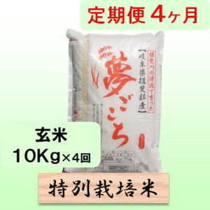 �y�ӂ邳�Ɣ[�Łz���ʍ͔|�ā�[�����] 4�J�������� ����10kg�y���������z ���� �u�����h�� ������ ���� ���b�`�� ��A�~���[�X�� ��߂Ă����������@���͂��F2025�N10�����{�`2026�N10�����{��