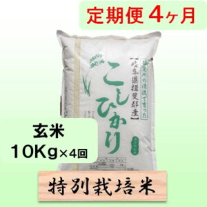 �y�ӂ邳�Ɣ[�Łz���ʍ͔|�ā�[�����] 4�J�������� ����10kg�y�����Ђ���z ���� �u�����h�� ������ ���� �o�����X���ǂ� ���Ẳ��l�@���͂��F2025�N10�����{�`2026�N10�����{�܂�