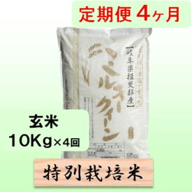 【ふるさと納税】特別栽培米★[定期便] 4カ月★毎月 玄米10kg【ミルキークイーン】 お米 ブランド米 銘柄米 ご飯 モチモチ 低アミロース米 冷めても美味しい　お届け：2025年10月中旬～2026年10月下旬まで