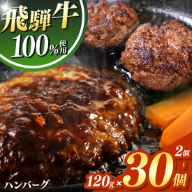 【ふるさと納税】 飛騨牛 100% ハンバーグ 120g 【 選べる 個数 】| 冷凍 牛肉 和牛 国産 国産牛 岐阜 北方町 ハンバーグ 肉 お肉 肉汁 うまみ うま味 旨味