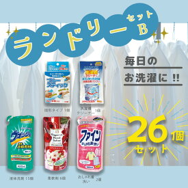 【ふるさと納税】ランドリーセットB 衣料用洗剤 柔軟剤 クリーナー 26点セット 洗剤 衣料用 洗濯 洗剤 おしゃれ着 洗濯石鹸 衣類 粉末 液体 白い ふんわり やわらか 汚れ落ち 室内干し 部屋干し 外干し 日用品 生活用品 防災 ストック 送料無料 生活 応援岐阜県 北方町