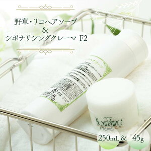 yӂ邳Ɣ[Łz쑐ERwA\[v 250mL  V|iVON[} 45g mVR Vv[ g[gg F2 򕌌 j ق F6M-043