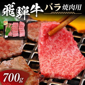 【ふるさと納税】飛騨牛 バラ 700g 焼肉用 牛肉 黒毛和牛 5等級 肉 F6M-059