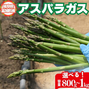 yӂ邳Ɣ[Łz AXpKX Iׂ 500g 800g 1kg
