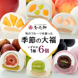 【ふるさと納税】【期間限定】養老軒の季節の大福 6個入（1種類）│お楽しみ 夏 秋 人気 旬 フルーツ ふるーつ スイーツ 大福 和スイーツ おやつ おかし お菓子 和菓子 養老軒 お取り寄せ お取り寄せスイーツ フルーツ大福 季節 果物 岐阜県 川辺町 (996)