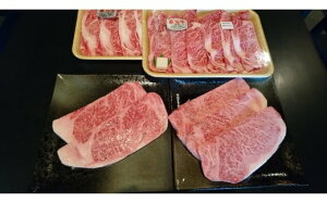 【ふるさと納税】 飛騨牛A5~4等級 贅沢セット E-8/A-21