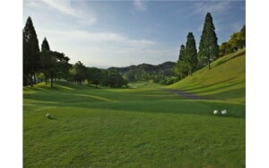 yӂ邳Ɣ[Łz St v[(4)HAHt GOLF p Stꗘp Stv[ Stv[ I-1/I-1