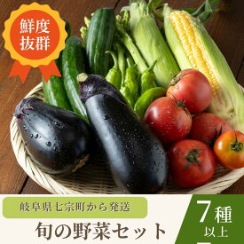 【ふるさと納税】七宗町から発送　新鮮野菜詰めあわせセット(季節の野菜7～8種類) ※北海道・沖縄・離島への配送不可
