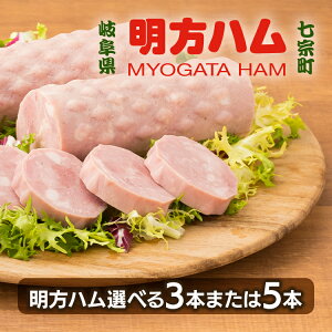 yӂ邳Ɣ[ŁzyIׂ{znMtg n3`5{ FMH-03 FMH-05 bYؓgp Mtg 蕨 j {in \[Z[W ECi[  lC lߍ킹 Zbg ȒP 