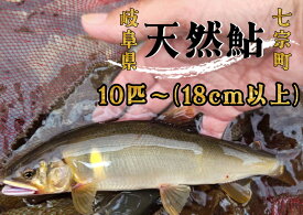 【ふるさと納税】※岐阜県産天然鮎七宗町産(18cm以上) ※2026年6月より順次発送予定
