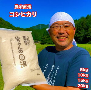 yӂ邳Ɣ[Łzy101Jnz   ߘa7Nx Y V R  RVqJ Iׂ 5kg 10kg 15kg 20kg _ƒ c _ 202 ς c ˔\ ς  486