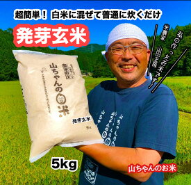 【ふるさと納税】【10月1日発送開始】米 お米 玄米 健康米 発芽玄米 農家直送 「山ちゃんの発芽玄米」 5kg 山ちゃん 米農家 送料無料 359