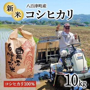 yӂ邳Ɣ[Łz V ߘa7Nx 10kg RVqJ 100%   ͂  SÒY   476
