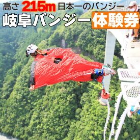 【ふるさと納税】 日本一 バンジージャンプ 高さ215m 体験チケット 1名様 岐阜バンジー y66-207