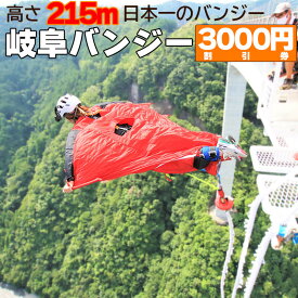 【ふるさと納税】 日本一 バンジージャンプ 高さ215m 体験割引チケット 3,000円分 岐阜バンジー y66-208