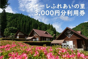 yӂ邳Ɣ[ŁzNI[ӂꂠ̗ pi3,000~jh Lv `Pbg AEghA BBQ 쒬 / ZNI[̗[AWAP001]