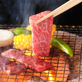 【ふるさと納税】飛騨牛　焼肉用　肩ロース700g（350g×2）