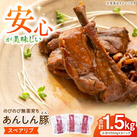 【ふるさと納税】あんしん豚 スペアリブ 1.5kg 豚肉 小分け 国産 白川町 / 藤井ファーム[AWAF004] 小分け 小分けパック バーベキュー BBQ せっと 安心 安心豚 おいしい 美味しい セット 冷凍 リピート 味付き 簡単 料理