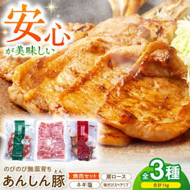 【ふるさと納税】【お中元対象】 あんしん豚 焼き肉セット 豚肉 ロース 国産 白川町 / 藤井ファーム[AWAF005] 小分け 小分けパック バーベキュー BBQ せっと 安心 安心豚 おいしい 美味しい セット 冷凍 リピート 味付き 簡単 料理 焼肉 焼き肉 10000円 1万円