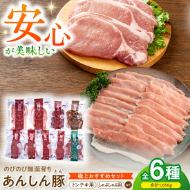 【ふるさと納税】【お中元対象】 あんしん豚 極上セット 豚肉 ロース 国産 白川町 / 藤井ファーム[AWAF009] 小分け 小分けパック しゃぶしゃぶ せっと 安心 安心豚 薄切り おいしい 美味しい セット 冷凍 リピート とんてき トンテキ 豚しゃぶ ぶたしゃぶ 20000円 2万円