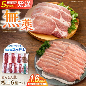 yӂ邳Ɣ[Łzs[g40%I 񂵂 ɏZbg ؓ [X Y 쒬 / t@[[AWAF009]  pbN Ԃ  S ؂   Zb