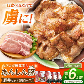 【ふるさと納税】【6回定期便】豚丼セット 豚肉 肩ロース 国産 白川町 / 藤井ファーム[AWAF014]