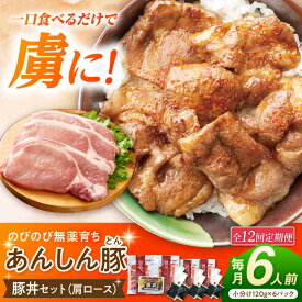 【ふるさと納税】【12回定期便】豚丼セット 豚肉 肩ロース 国産 白川町 / 藤井ファーム[AWAF015]