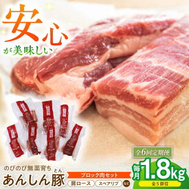 【ふるさと納税】【6回定期便】あんしん豚 ブロックセット 約1.8kg 豚肉 ロース モモ カタ 国産 白川町 / 藤井ファーム[AWAF026]