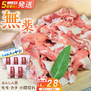 yӂ邳Ɣ[ŁzyeʂIׂIzsot EJ^ Ԑ؂ ؓ  ؂ ؂ 쒬 / t@[[AWAF028]