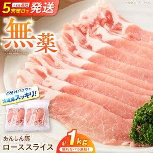 yӂ邳Ɣ[Łzsot [XXCX 1kg i500g×2܁j ؓ  ؂ [X Ⓚ 쒬 / t@[[AWAF049]