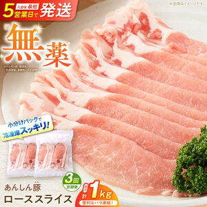 yӂ邳Ɣ[Łzy3ցz@ sot [XXCX 1kg i500g×2܁j ؓ  ؂ [X Ⓚ 쒬 / t@[[AWAF050]