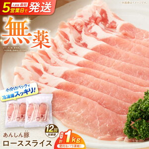 yӂ邳Ɣ[Łzy12ցz sot [XXCX 1kg i500g×2܁j ؓ  ؂ [X Ⓚ 쒬 / t@[[AWAF052]