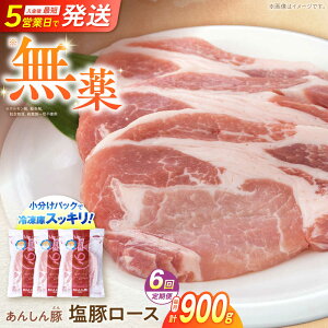 yӂ邳Ɣ[Łzy6ցzs܎܁t ؃[X 900g v5.4kg ؓ  ؂ [X 쒬 / t@[[AWAF055]