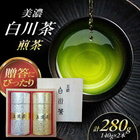 【ふるさと納税】美濃白川茶 煎茶（パール缶入）140g×2本 お茶 おちゃ お茶葉 茶葉 緑茶 煎茶 白川茶 白川町 / 白川町農業開発[AWAH008]