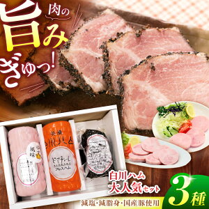 yӂ邳Ɣ[ŁzyΕMtgzn lCI3Zbgi vXn E 䂸vXn E pXg~n j n {Xn vXn pXg~ lߍ킹 쒬 / 