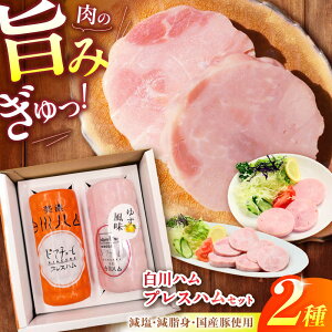 yӂ邳Ɣ[ŁzyΕMtgzn vXn 2Zbg i vXn E 䂸vXn j n vXn lߍ킹 Mtg Zbg 쒬 / 쒬_ƊJ[AWAH016]