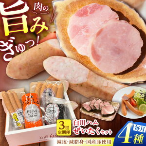 yӂ邳Ɣ[Łzy3ցz Zn 4Zbg i vXn E pXg~n E ECi[ E ECi[ j n vXn pXg~ ECi[ lߍ킹 쒬