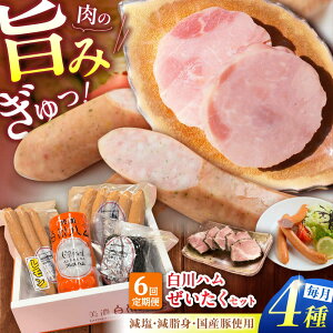 yӂ邳Ɣ[Łzy6ցz Zn 4Zbg i vXn E pXg~n E ECi[ E ECi[ j n vXn pXg~ ECi[ lߍ킹 쒬