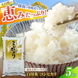【ふるさと納税】コシヒカリ 5kg 白川町 / 白川町農業開発[AWAH030]